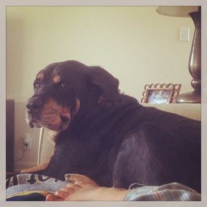 Meet your Posher, Joseph